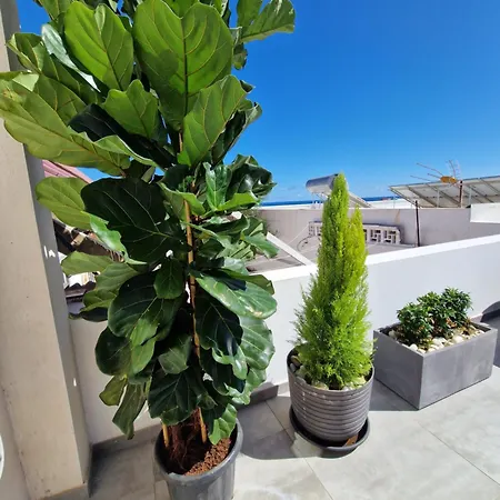 Ocean Surf Apartamento