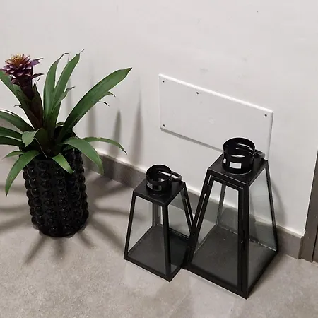 Ocean Surf Appartement