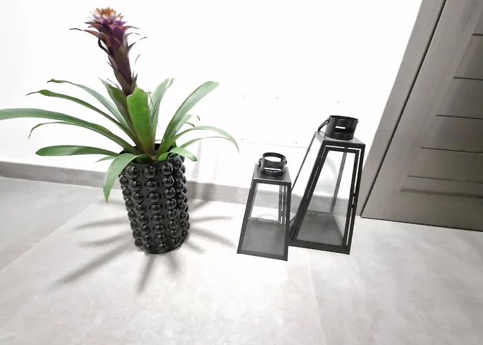 Ocean Surf 公寓 Playa Del Hombre